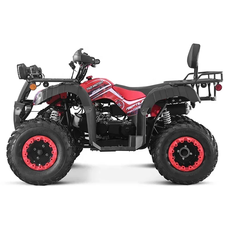 2024 استخدام المزرعة الجديدة جنبًا إلى جنب سلسلة محرك الكبار 2 مقعد 200cc ATV