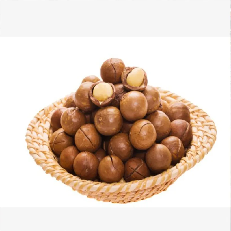 Macadamia-Mutteröffner, Ausrüstung für die Mutterverarbeitung, Schnittausrüstung