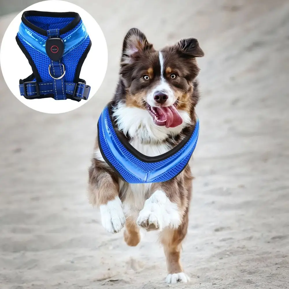 

Durable Luminous Pet LED Harness Rechargeable Breathable Dog Traction Harness Waterproof Dog Vest Walking The Dog