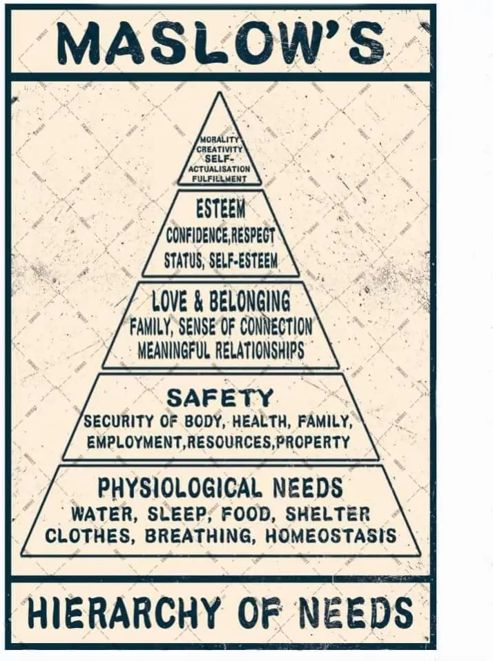 Hierarchie des besoins de Maslow, signe en étain en métal, décoration murale, Plaque d'affiche d'art, décoration de maison, Art rétro pour panneau de classe