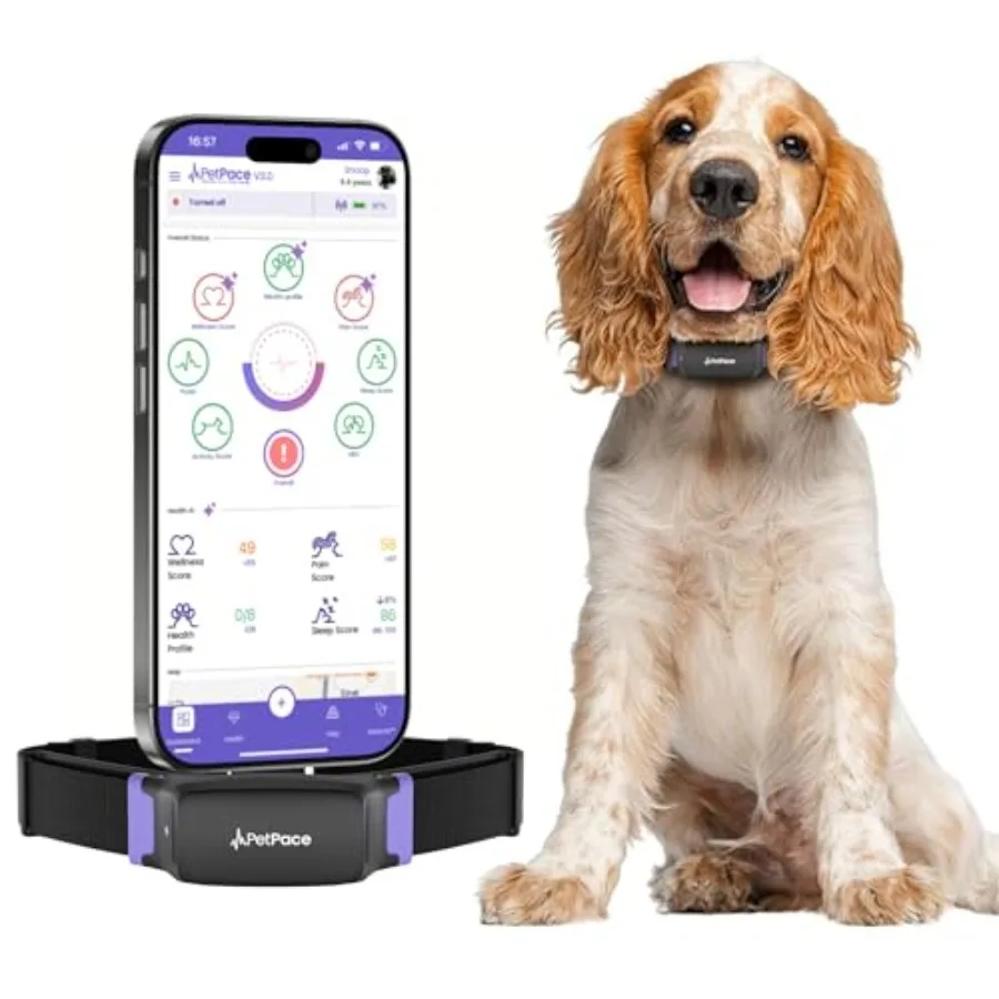 AI Health Collar for Dogs with 24/7 Vital Signs Monitoring Pain Seizure Alerts GPS Tracking Telehealth Consults Vet Sharing App
