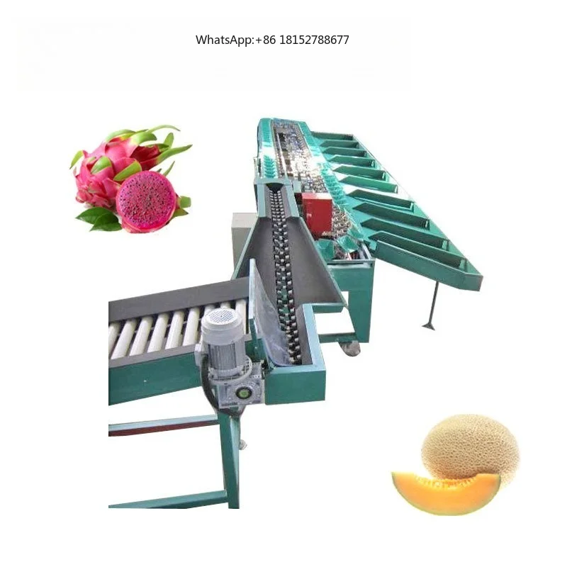 New Type Papaya Sorter Machine Durian Grading Machine