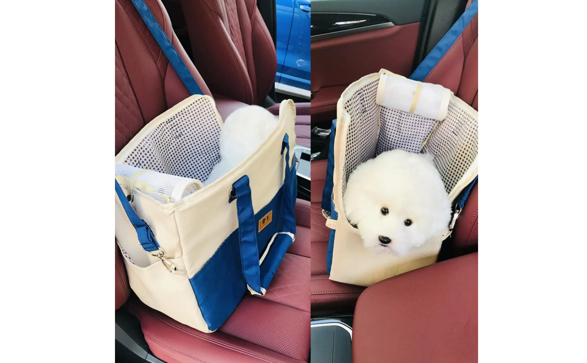 Pet Shoulder Carrier Car Seat Friendly Portable Dog Carrier Feline Travel Tote Lightweight Small Dog Tote Bag Adjustable Strap