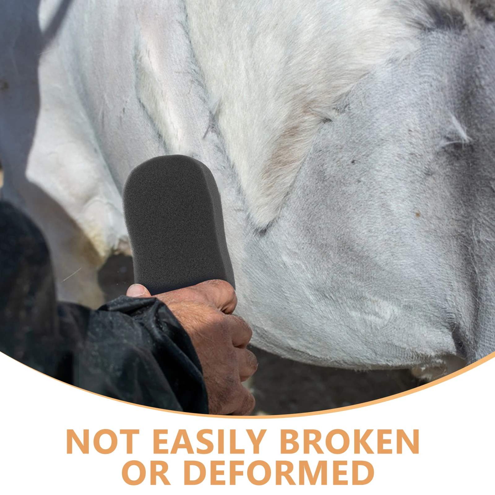 

6 Pcs Grooming Sponges Bathing Soft Scrubbing Reusable Multifunction Bath Cleaning Sponge Wash Tools Cleaning Horses