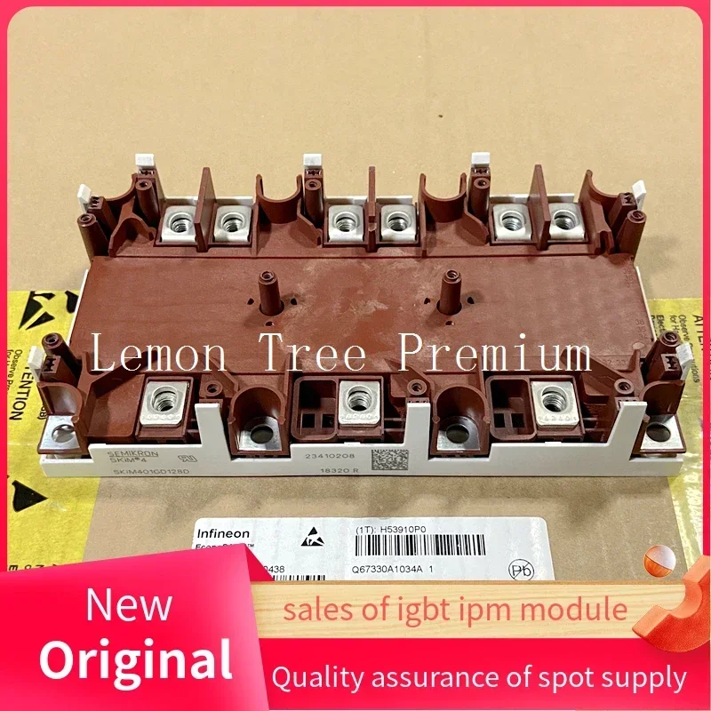 

SKiM350GD128DMV1 SKIM401GD128D SKIM271GD128D SKIM300GD126DL SKIM250GD128D SKIM250GD126D SKIM500GD128DM