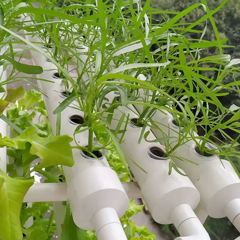 100Pcs Bodenlosen Hydrokultur Gartenpflanzen Werkzeuge Gepflanzt Schwamm Gemüse Anbau System Kindergarten Samen Pflanzung Tabletts Schwamm – Detail 17