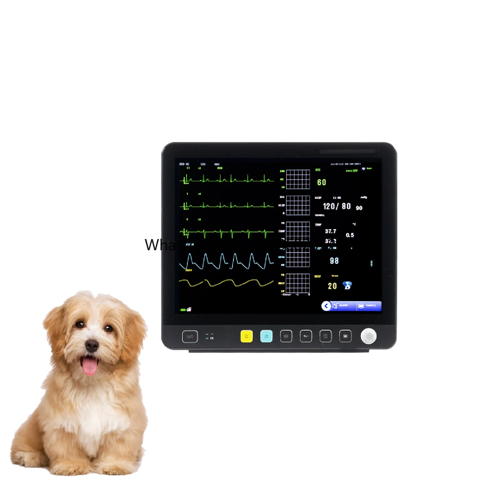 

Electrocardiography Veterinary Hospital Clinic Icu Surgery Multi Parameter Vital Signs Monitor