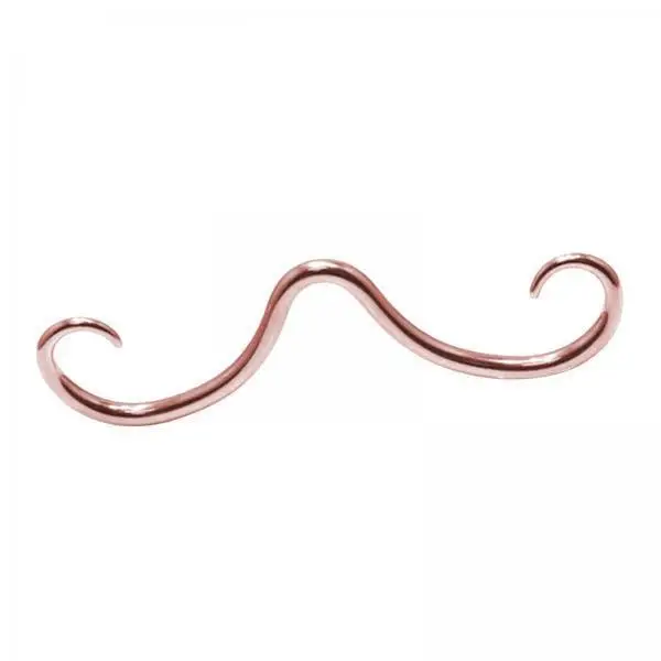 Unique Mustache Septum Nose Ring 316L Stainless Steel Piercing Jewelry Trendy Fake Nose Ring for Men and Women