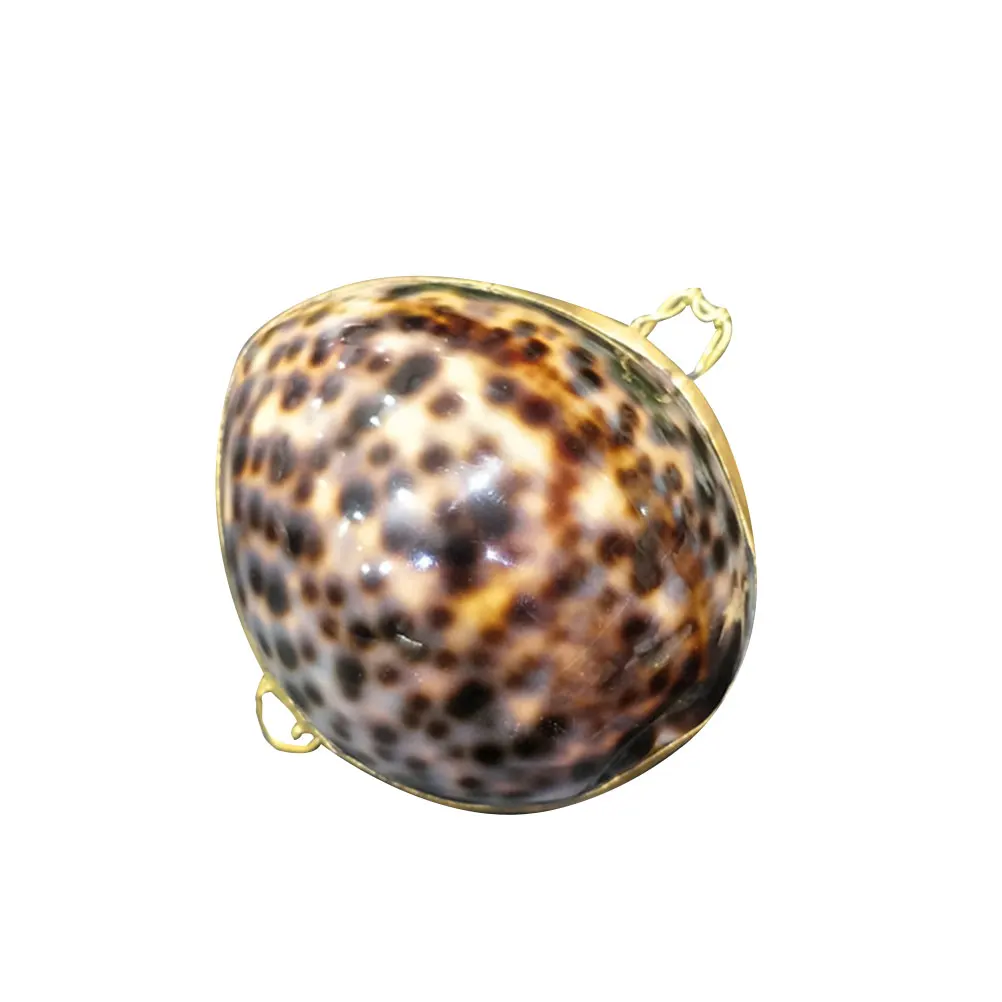 صندوق مجوهرات على شكل صدفة، علبة حلق إبداعية، صناديق تعبئة الهدايا، أشتات، مقترح آمن للمناسبات الخاصة