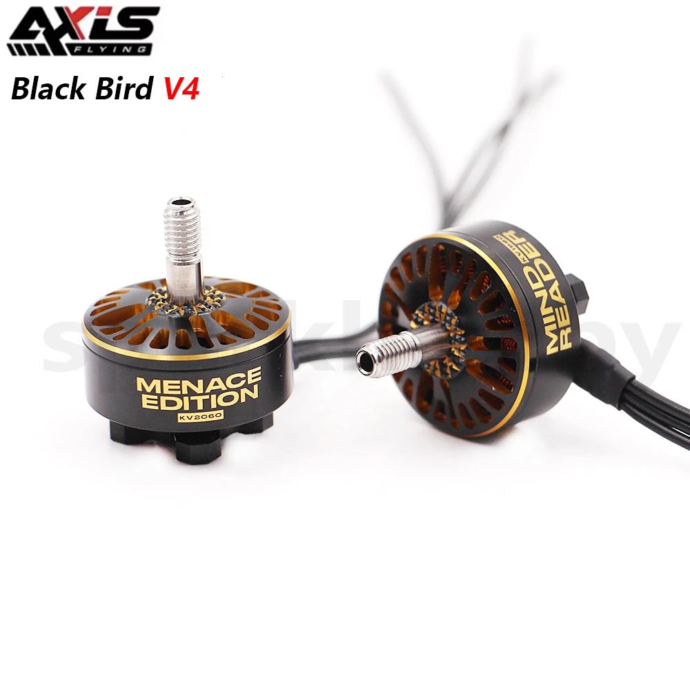 4PCS Axisflying BlackBird V4 6S Lipo FPV Brushless Motor 2307.3 1960KV 2060KV 51466 V2 For RC FPV 5inch Freestyle fram DIY part
