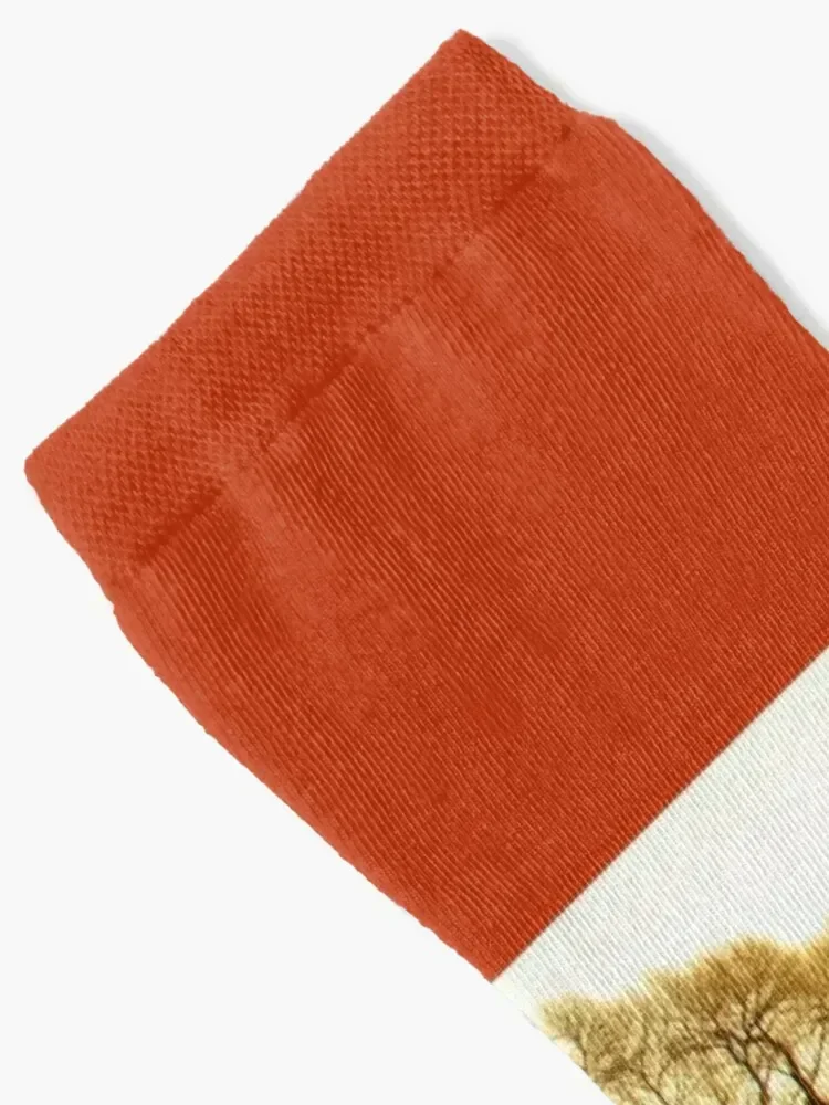 Cathedral Rock Sedona Rainy Day by Reay of Light Socks Novelties Soccer retro custom sports Socks Girl Men's