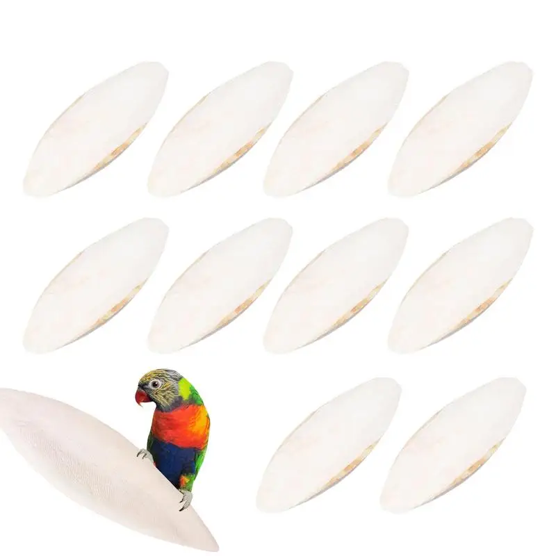 10pcs Cuttlefish Bone For Birds Parrot Chewing Cuttle Bone Health Supplies Cuttlefish Bone Calcium Supplements Food Decoration