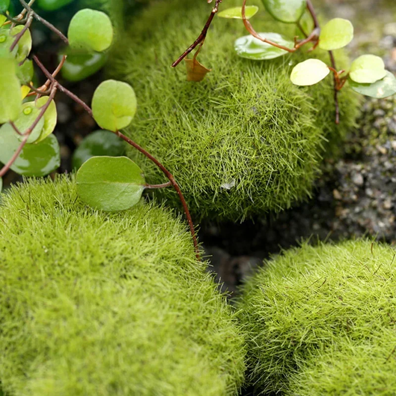 4 Size Green Fake Stone Artificial Moss Rocks Home Decor Simulation Plant DIY Decoration for Garden and Crafting листья розы