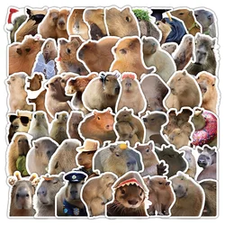 10/30/60pcs Funny Capybara Stickers Cute Decals DIY Decoration For Phone Notebook Car Laptop Fridge Waterproof Graffiti Kids Toy