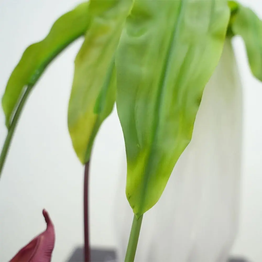 Multicolor Artificial Pitcher Plants Greenery Accessories Green Leaves Hanging Green Plants Photo Props Simulation Flytraps