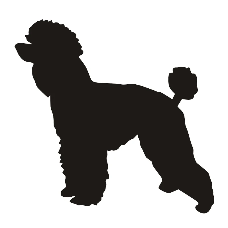Poodle Car Sticker Decal Bumper Window Vinyl Funny Laptop Novelty Van Dog Sticker Choose Size Color