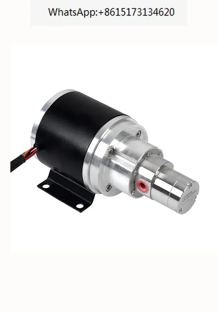 Gear Pump New Magnetic Drive Stainless Steel Self priming Metering Cycle Automotive Cooling Magnetic Pump