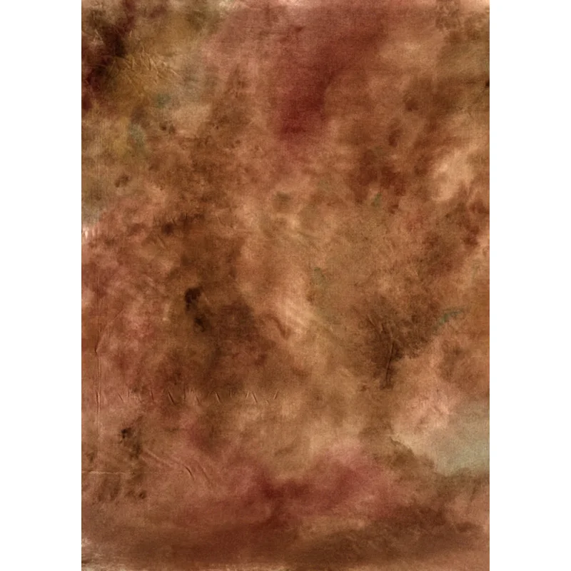 Vinyl Custom Photography Backdrops Props Vintage Grunge Portrait Theme Photo Studio Background LCJD-2121