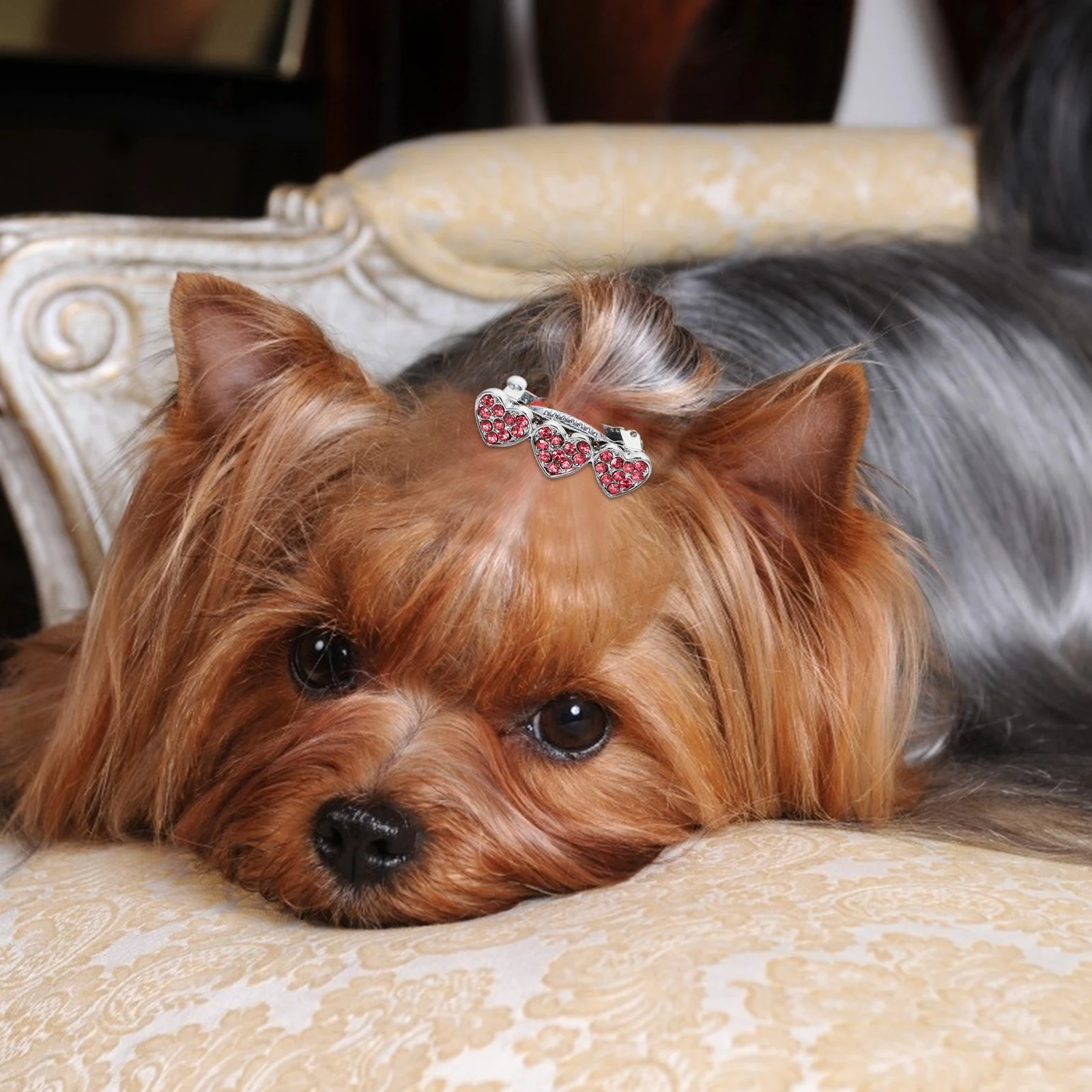 

2 Pcs Dog Hair Clips Heart Hairpin Headwear Puppy Hairpins Girls Pearl Clip Barrette Alloy Pet Accessories Sweet Elegant