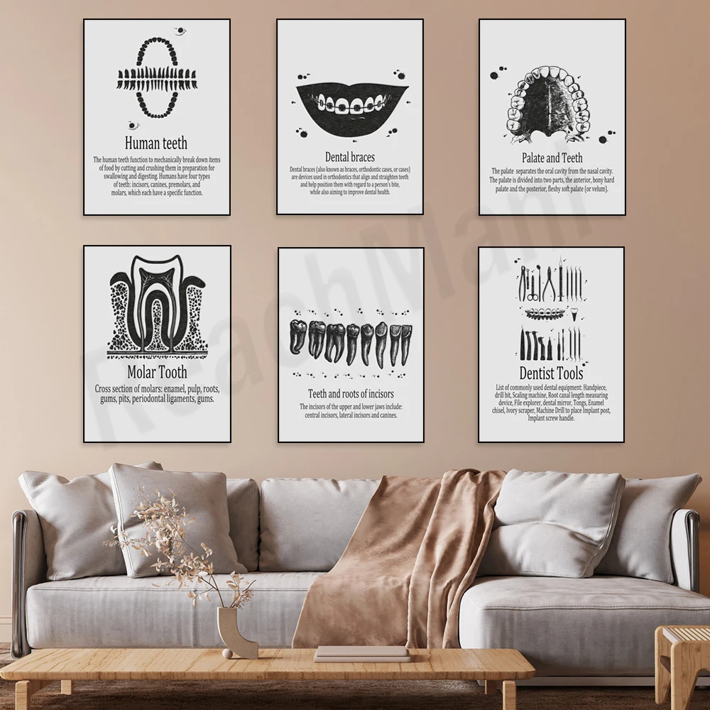 Abstract incisor and tooth root, jaw and teeth, dental infographic, molar implant, tools, oral health poster in dental clinic