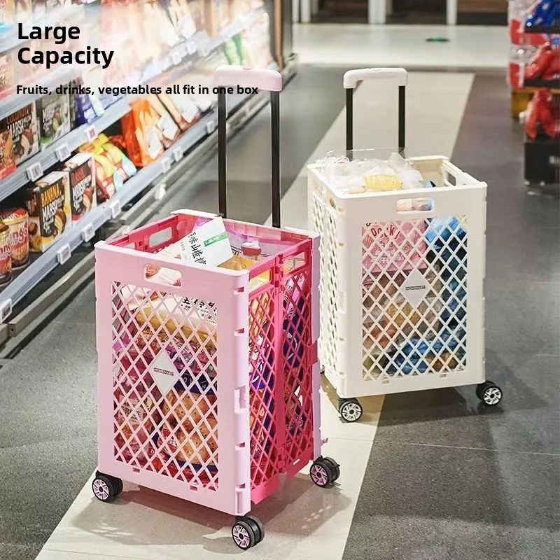 carrello-portaoggetti-in-plastica-portatile-di-grandi-dimensioni-trolley-per-acquisti-con-manico-estensibile-capacita-extra-large