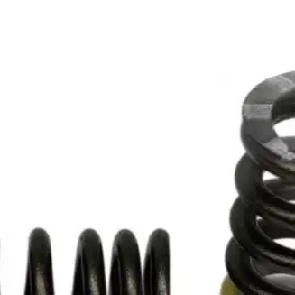06E109623H Engine Valve Springs For 1.8T 2.0T Cylinder Head Intake For Exhaust For A4 For A5 For S5 For A6 For Q5 For Magotan
