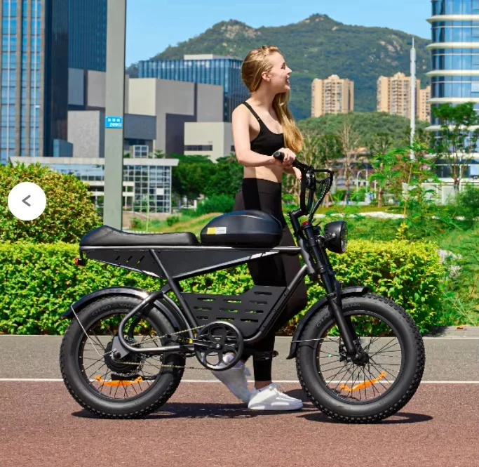 

Multifunctional Brushless 500W Electric Bicycle Aluminum Alloy 48V Dual Lithium Battery Waterproof Front Suspension Fat Tire