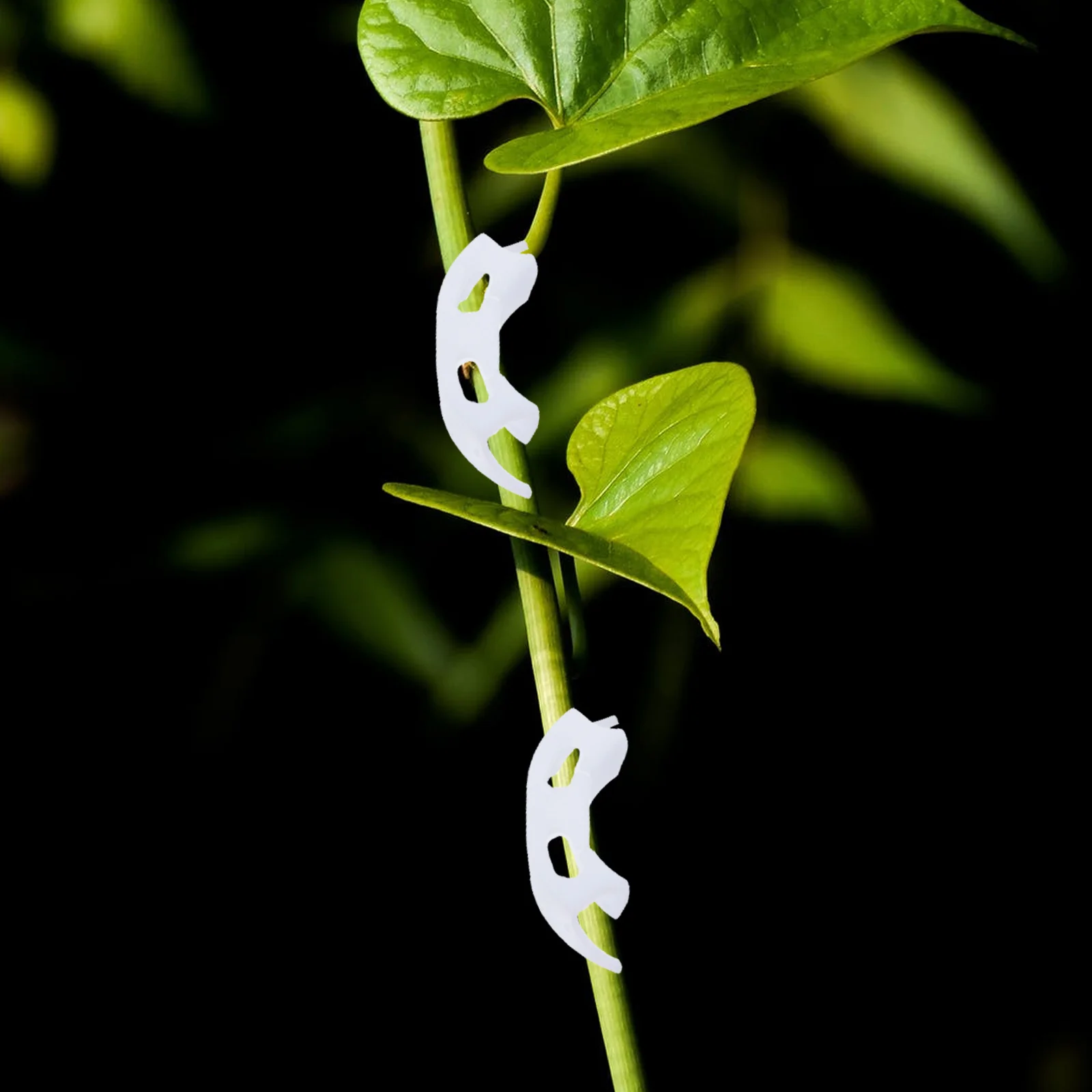 

1Set Plant Support Clips Premium Plastic Gardening Clamp for Stem Fixing Tomatoes Flower Support Tool Garden Accessories