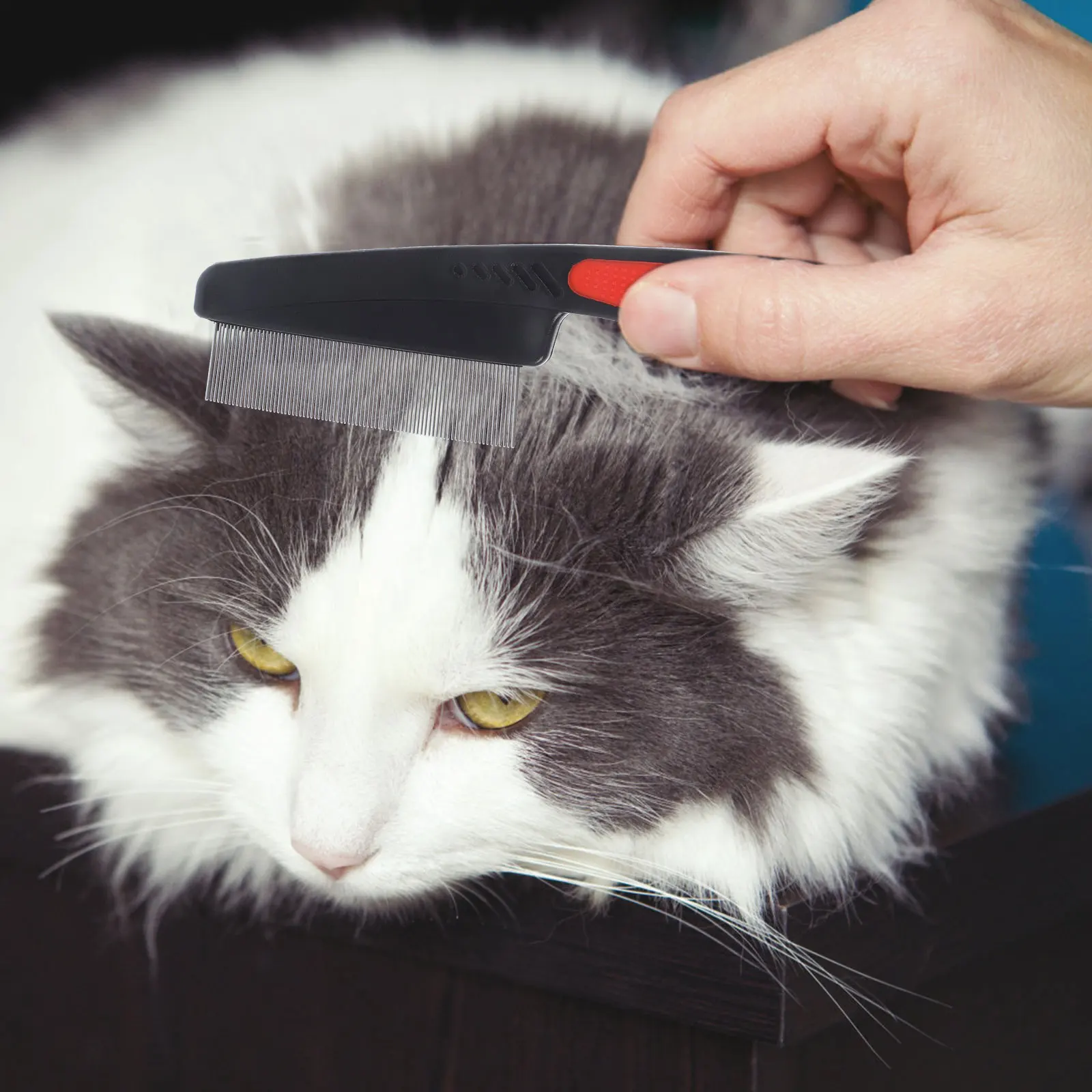 

Stainless Steel Fine Tooth Scalp Dandruff Removal Metal Hair Pick Small Portable Comb For Men Women Hair Care Tool