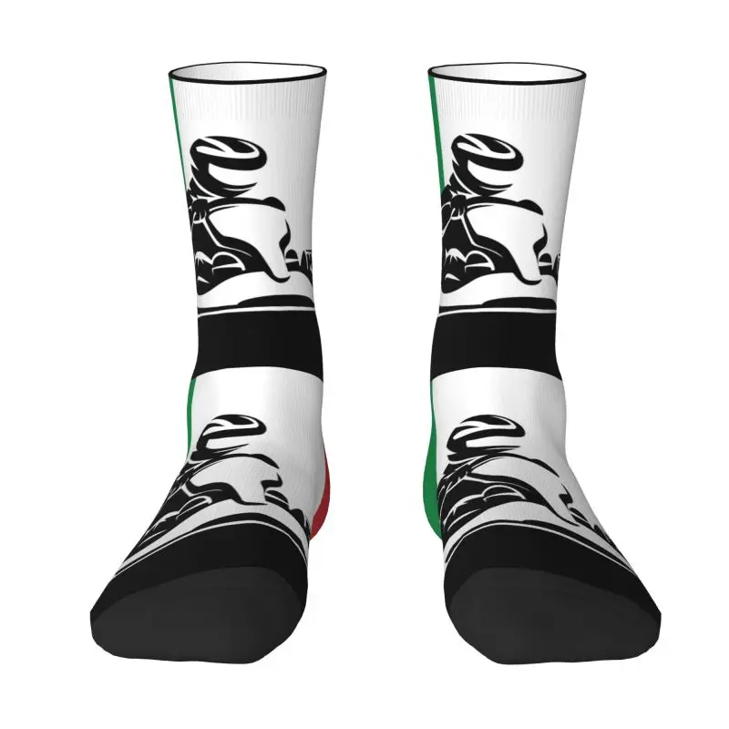 Custom Cool Print Flag Of Italy Socks for Women Men Stretchy Summer Autumn Winter Go Kart Italian Race Crew Socks