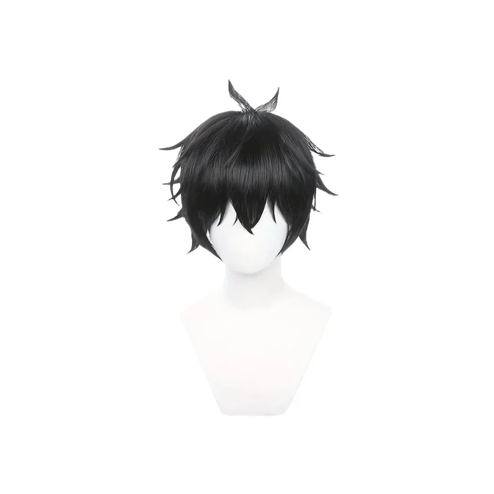 Dan Heng Wig Anime Honkai Star Rail Cosplay Wig Halloween Holiday Party Men Black Short Hair Wigs