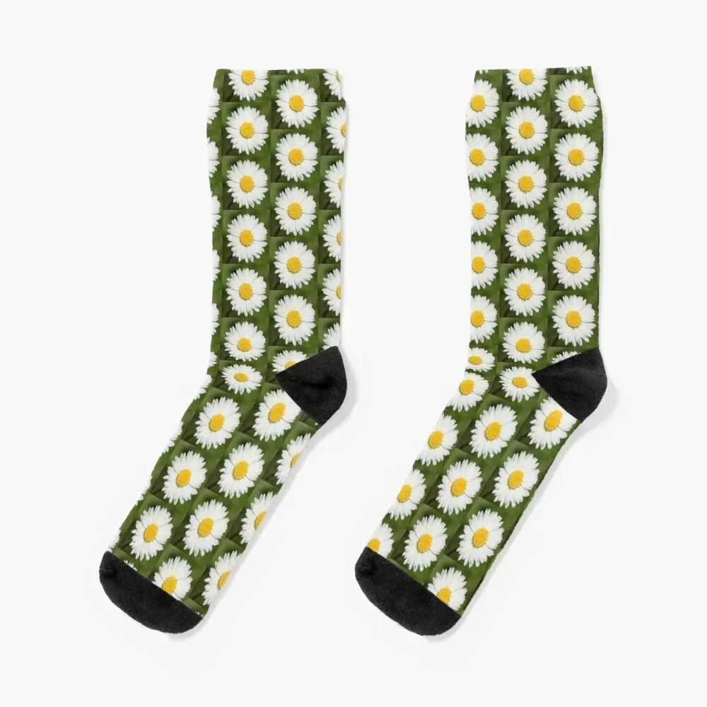 Closeup Of A Beautiful Yellow And Wild White Daisy Flower Socks retro set Socks Women Men's