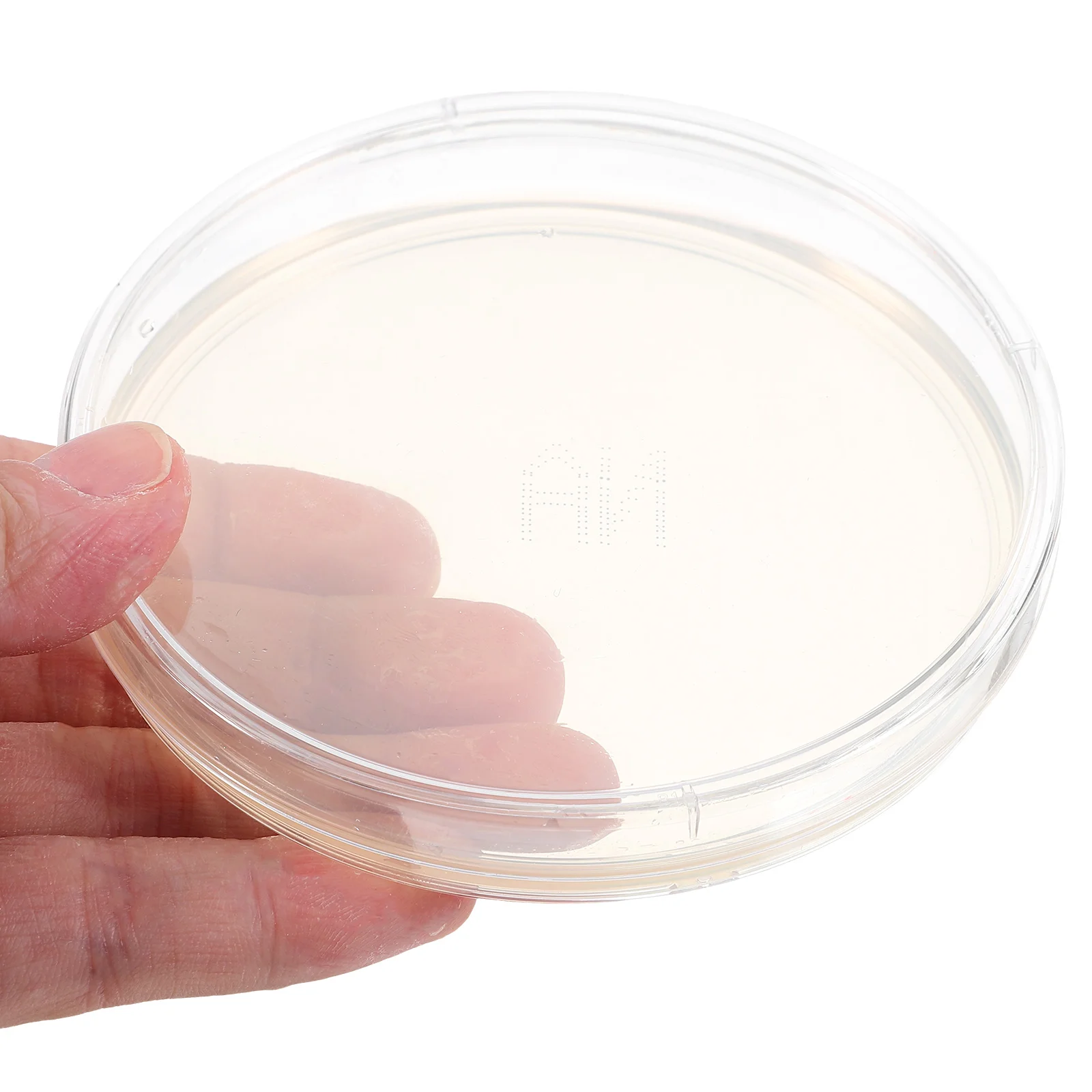 

10pcs Culture Medium Plates 9cm Agar Petri Dishes Clear Lab Experiment Prepoured Petri Dish Supplies Science Projects