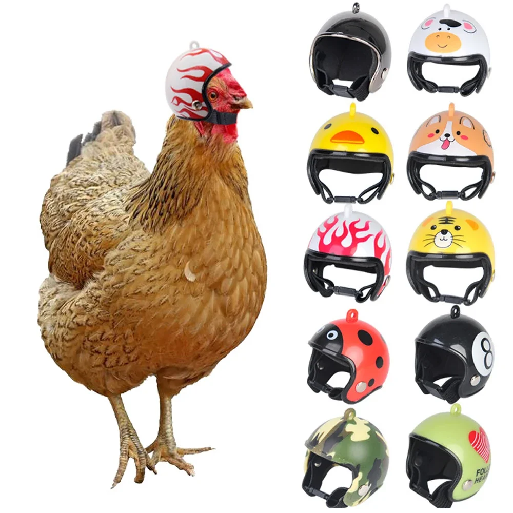 Funny Chicken Helmet Small Bird Duck Quail Hard Hat Headgear Prevent The Chicken From Smash Protect for Hens Head Pet Supplies