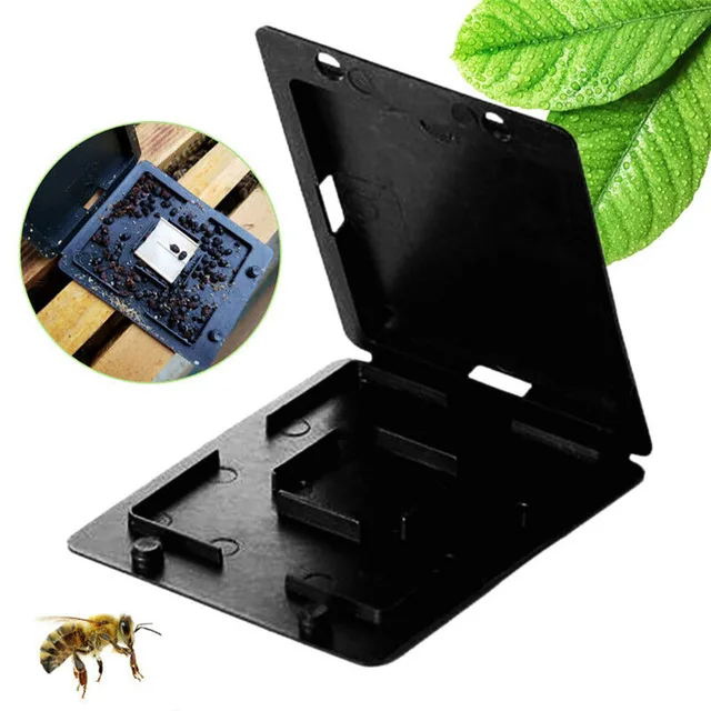 10pcs-80pcs Beehive Beetle Barn Collector New Condition Hive Insect Trap for Case Cover Lid for Beekeeping & Garden Supplies