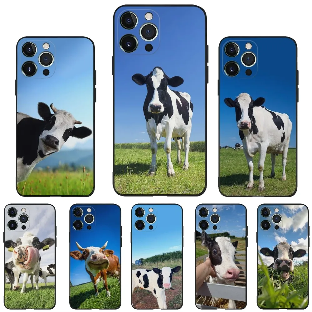 Dairy cow Animal Phone Case For iPhone 16,15,14,13,12,11,Plus,Pro Max,XS,X,XR,SE,Mini,8,7 Soft Silicone Black Cover