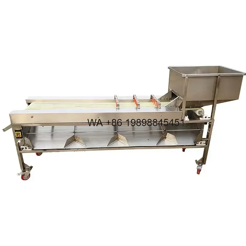 Wmwmnu Fruit and Vegetable Sorting and Grading Products Sizer Fruit Sorting and Grading