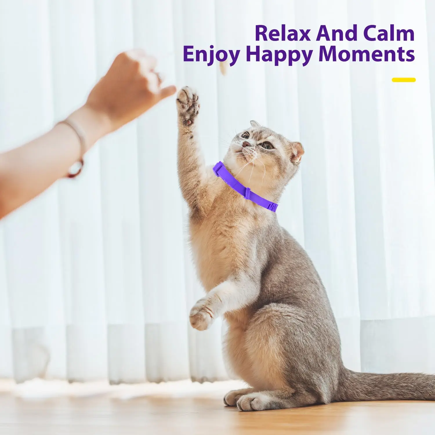 4 قطع من طوق تهدئة القطط - رائحة اللافندر، تخفيف فيرومون لمدة 60 يومًا للإجهاد/الخدش، قابل للتعديل للقطط (الزيارات النباتية/الطبيبية) #5
