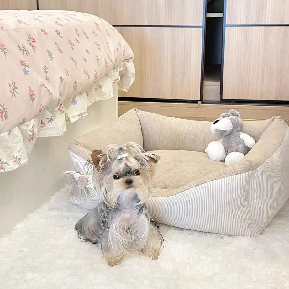 Pet Nest Princess Bed Sofa for Dogs and Cats - Puppy Kitten Kennel Sofa Couch Dog Cushion , Cat Nest Sofa Bed, Removable Washabl