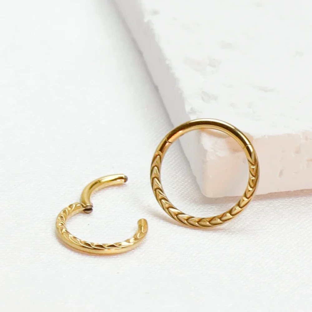 F136 Titanium Tragus Piercings CZ Nose Ring Hoop Cartilage Earring Stud Helix 16g Hinged Septum Charming Segment Body Jewelry