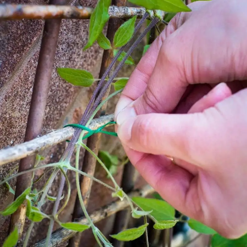 Green Garden Twine String Soft Stretchy Plants Support String Acrylic Garden Plant Climbing Strapping Ties Binding For Plants