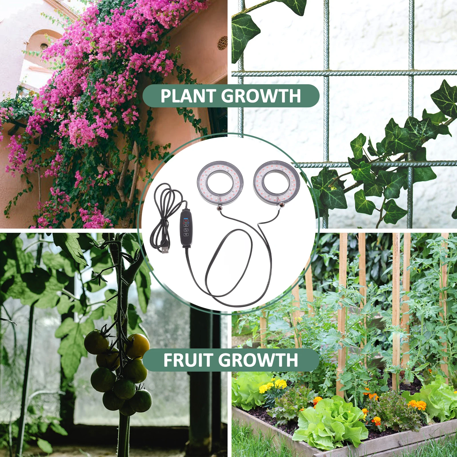 مجموعة واحدة من ضوء النمو الأحمر والأزرق للنباتات الداخلية مصباح نبات LED كامل الطيف مع حامل معدني قوي وعاء سهل الإدخال لحديقة المنزل #1