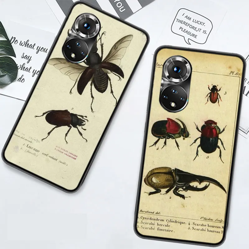 Bugs bees scientific decomposition Phone Case For Huawei P Smart 2021 Y5 Y6 Y7 Y9 Honor 50 20 Pro 10 10I 9 9X Y9S 8 8A 8X 8S 7S