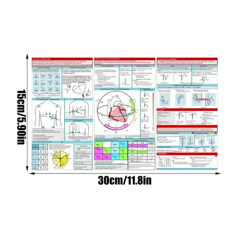 Ekg Rhythm Pocket Cards Ecg Interpretation Pocket Card Horizontal & Vertical Layout Compact Reference Guide EKG Pocket Guide