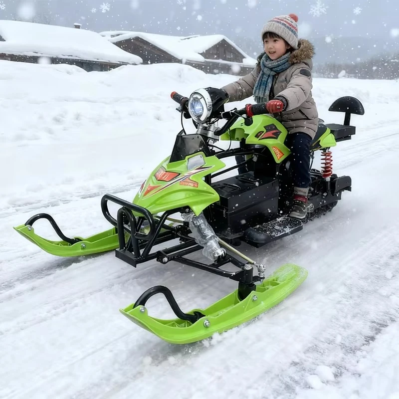 

Цена от производителя: 48В 20А электрический снегоход для зимних видов спорта, высококачественный двухместный гоночный снегоход для взрослых.