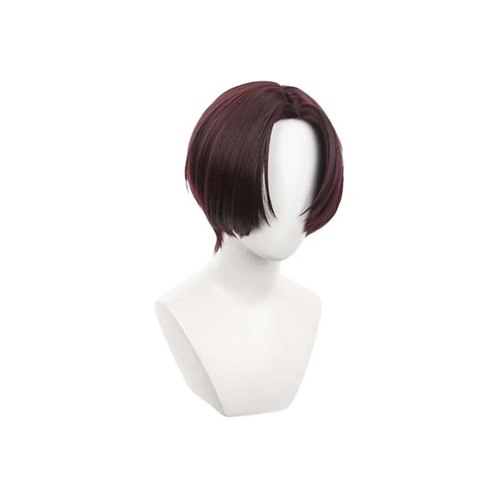 Synthetic Wig Anime Wind Breaker Hayato Suo Cosplay Wigs Heat Resistant Synthetic Hair Festival Carnival Props Wig