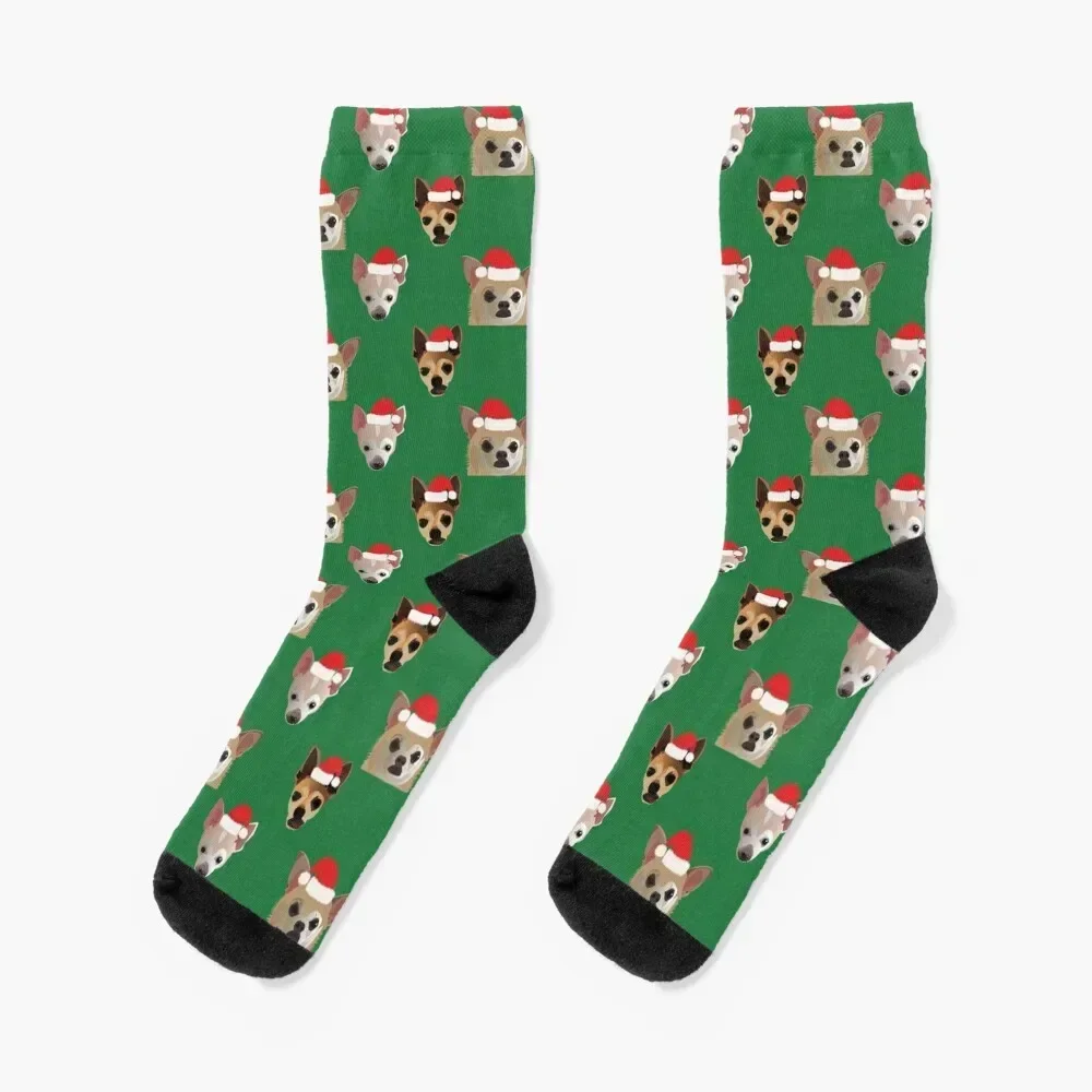 Christmas Chihuahua Puppies Socks Children's Stockings ankle Girl'S Socks Men's