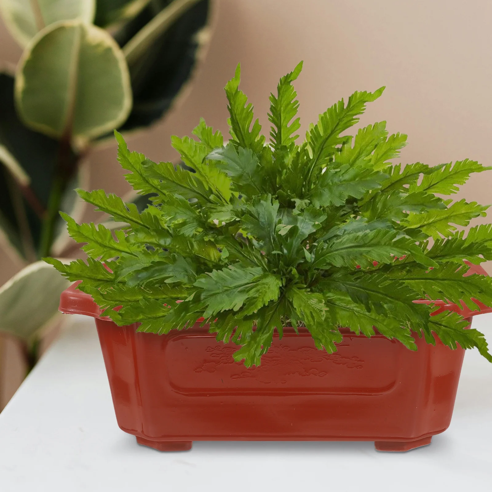 10 Pcs Bonsai Pot Plant Container Garden Pots Rectangular Planter Ornament Flowerpot Cactus