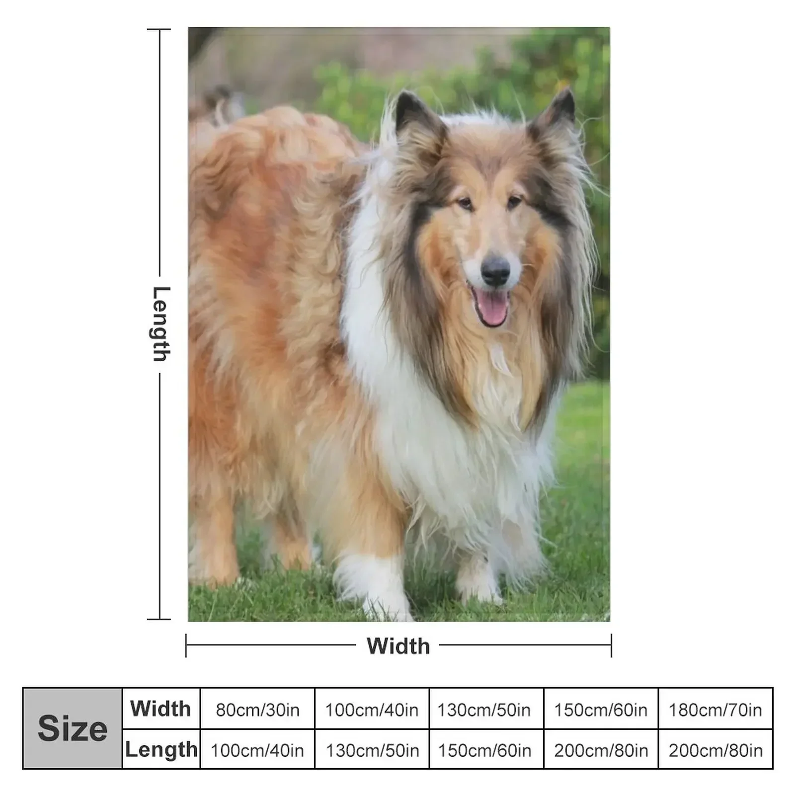 Sable Rough Collie Throw Blanket Decorative Sofa Decoratives Blankets