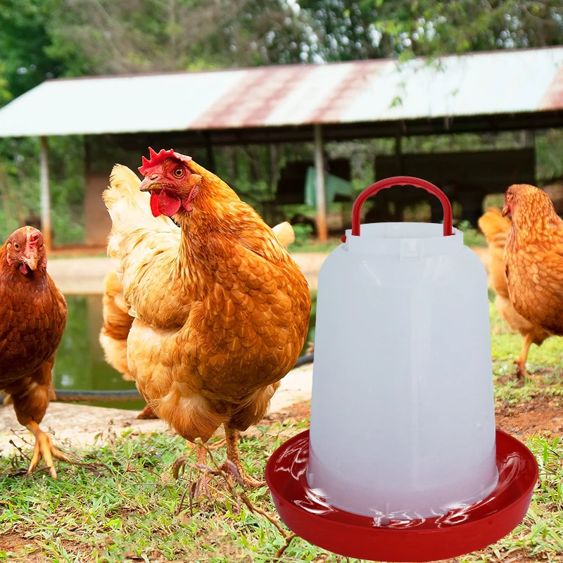 2 Stuks Grote Capaciteit Emmer Met Automatische Gevogelte Drinker Kip Water Vat Water Dispenser Kwartel Drinken Thuis Boerderij Benodigdheden